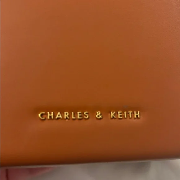 Charles & Keith Tan Brown Leather elongated Crossbody Bag magnetic closure - Picture 15 of 16